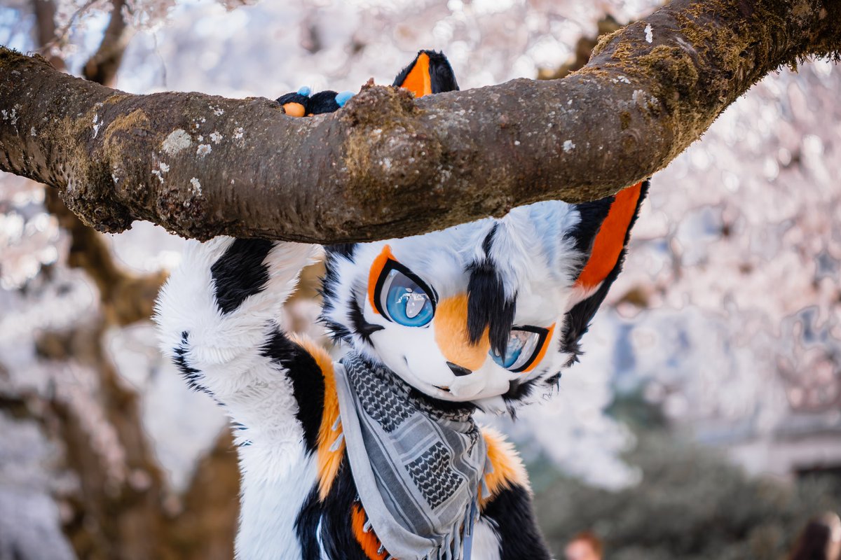 凌汐Jeffrey tweet media