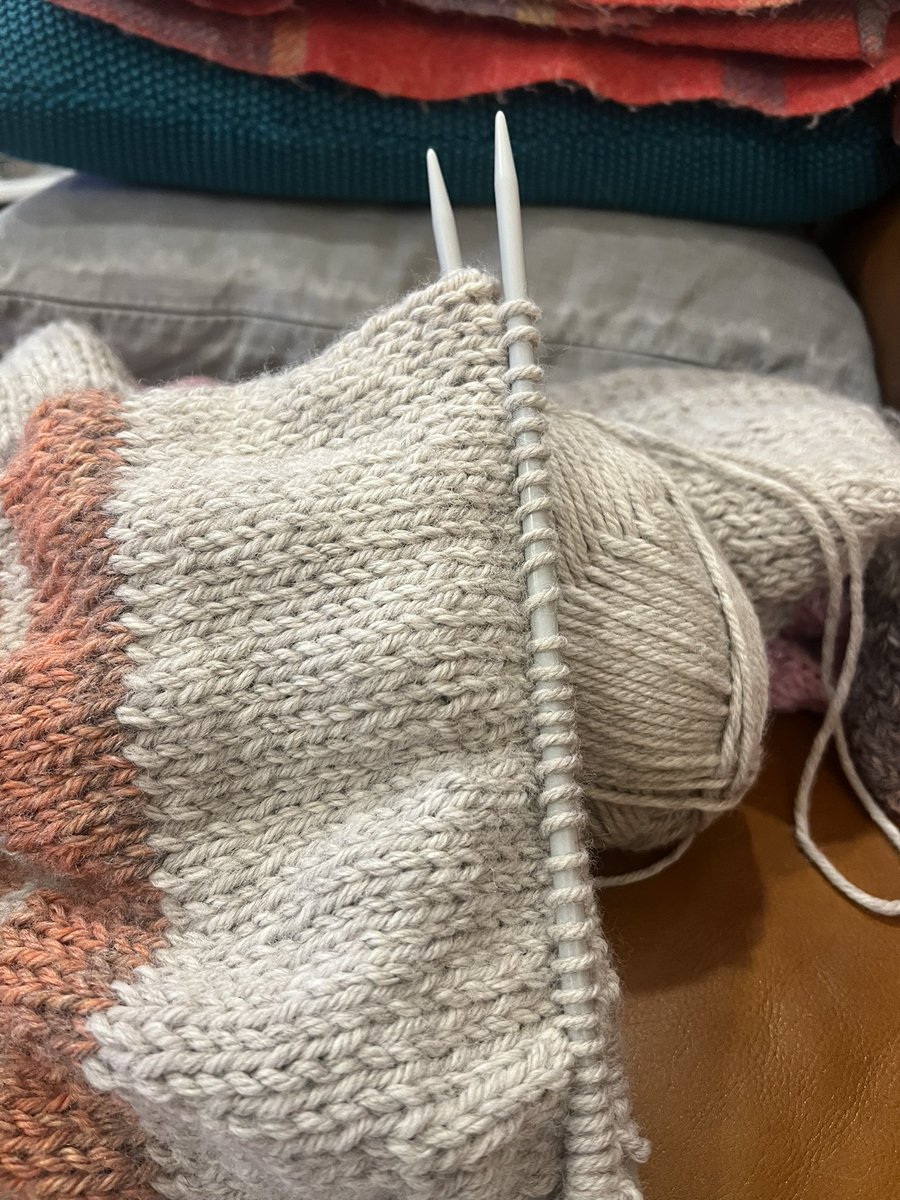 Hah ! Guess what I’ve added to cart ?! <a href="/daniellamyoung/">Daniella Mestyanek Young</a> Here I was knitting, scrolling, drinking wine and watching the fall of democracy and decency and I saw your response to an ill informed tweet - ouch ! Looking forward to reading the book