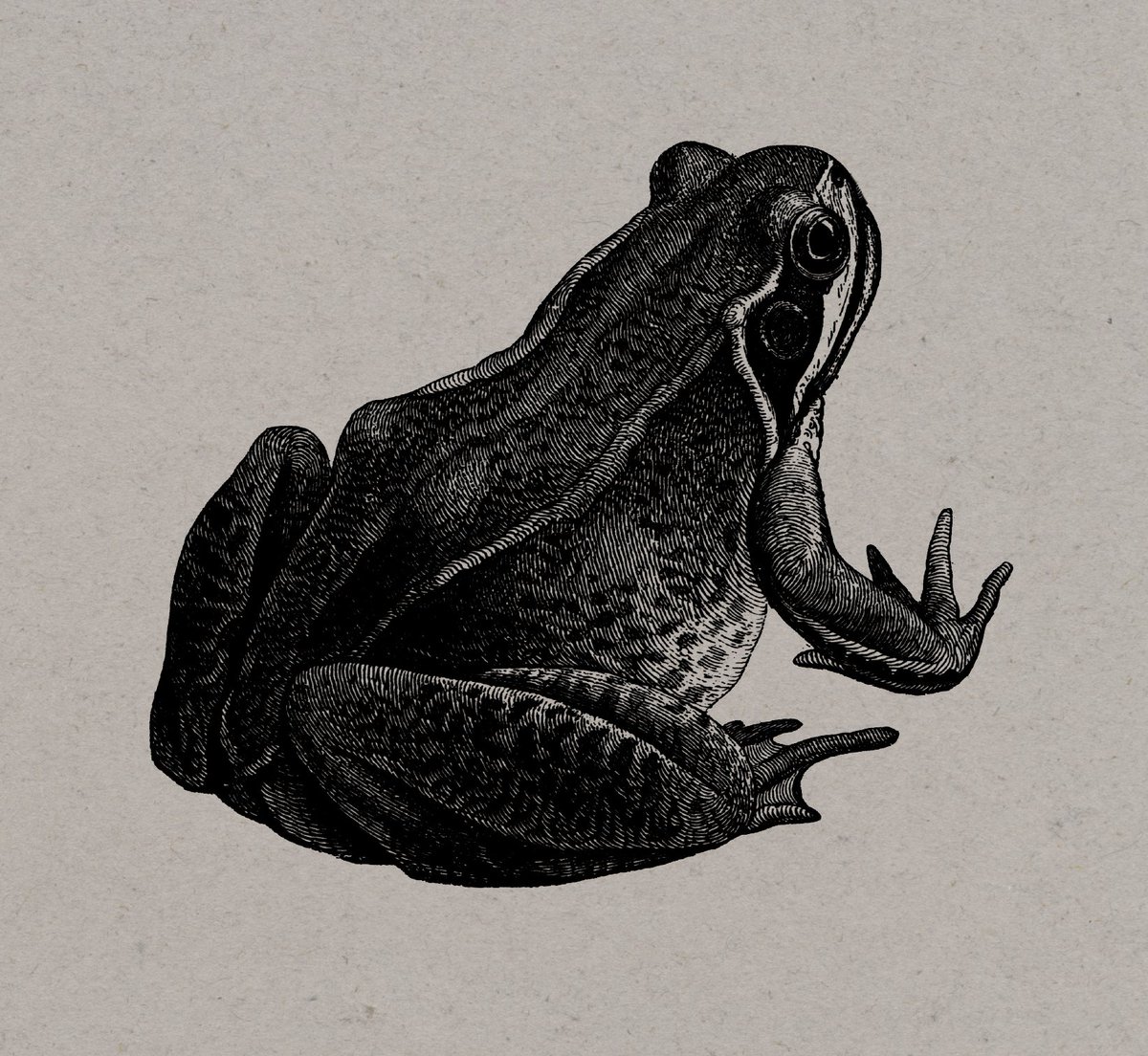 Alternative Roots on BrumRadio tweet media