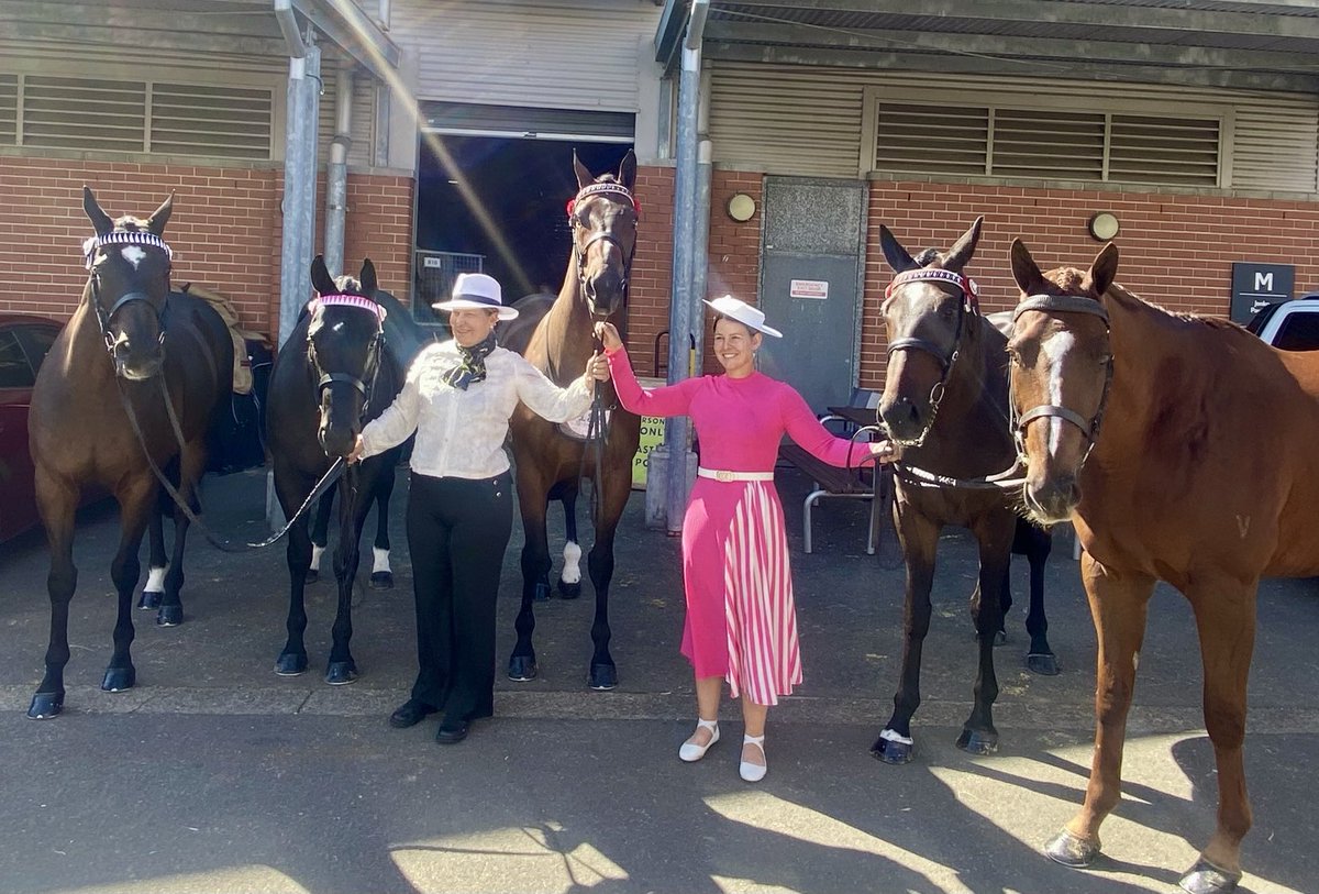 Kim Waugh (@kimwaugh6) on Twitter photo I couldn’t be prouder 5 of my retired horses now competing at the Easter Show. What a great life after racing. Congrats <a href="/amandaw29007682/">Amanda Davis-Williams</a> and Tina Williams #greatjob 🥳🥳🏆 🩵 I couldn’t be prouder 5 of my retired horses now competing at the Easter Show. What a great life after racing. Congrats <a href="/amandaw29007682/">Amanda Davis-Williams</a> and Tina Williams #greatjob 🥳🥳🏆 🩵