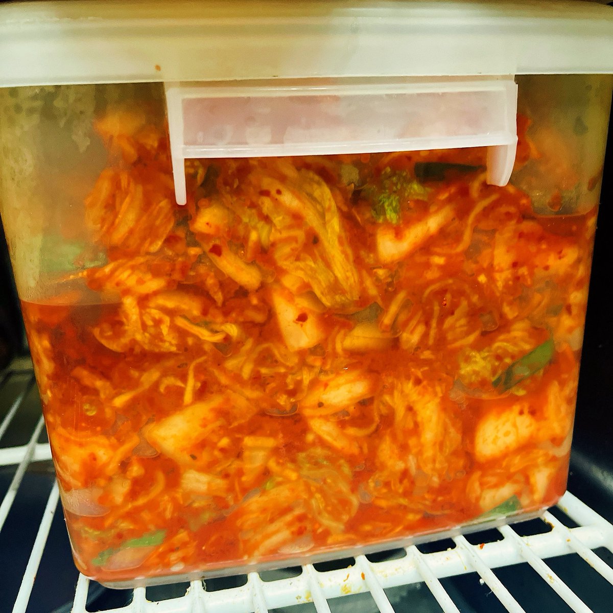 kims_diner's tweet photo. キムチ漬けました！
新しいキムチはシャキシャキの食感と浅漬かりの独特な風味が楽しめます。
浅漬けキムチがお好きな方はお早めにご来店くださいね。

#キムチ #김치 #kimchi https://t.co/uzpKQJfQY7