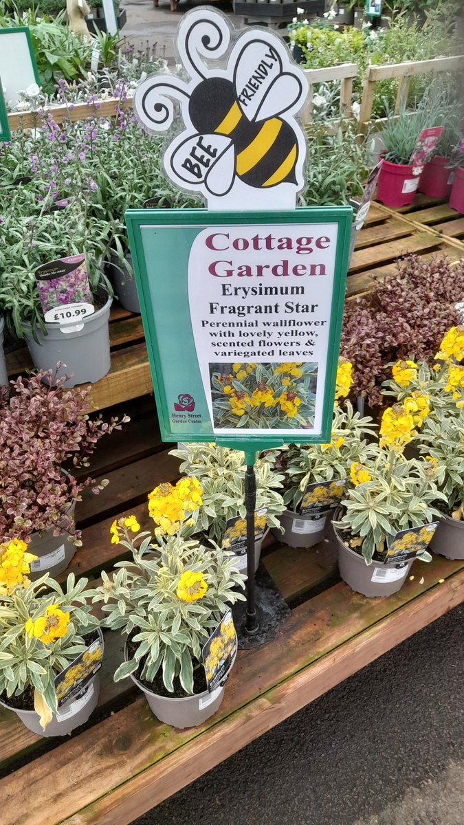 Good Friday Greetings - how about creating a wildlife haven this weekend. We've a great selection of bee &amp; bug hotels,  wildlife feeds, fantastic flower seed mixes &amp; don't forget lots of lovely bee and wildlife friendly plants 🐞🌼