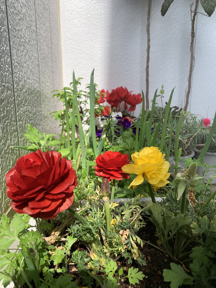 微塵の抵抗感も無い様。

美しい。

ただただ美しい。

ありがとう。大好き。愛してる。