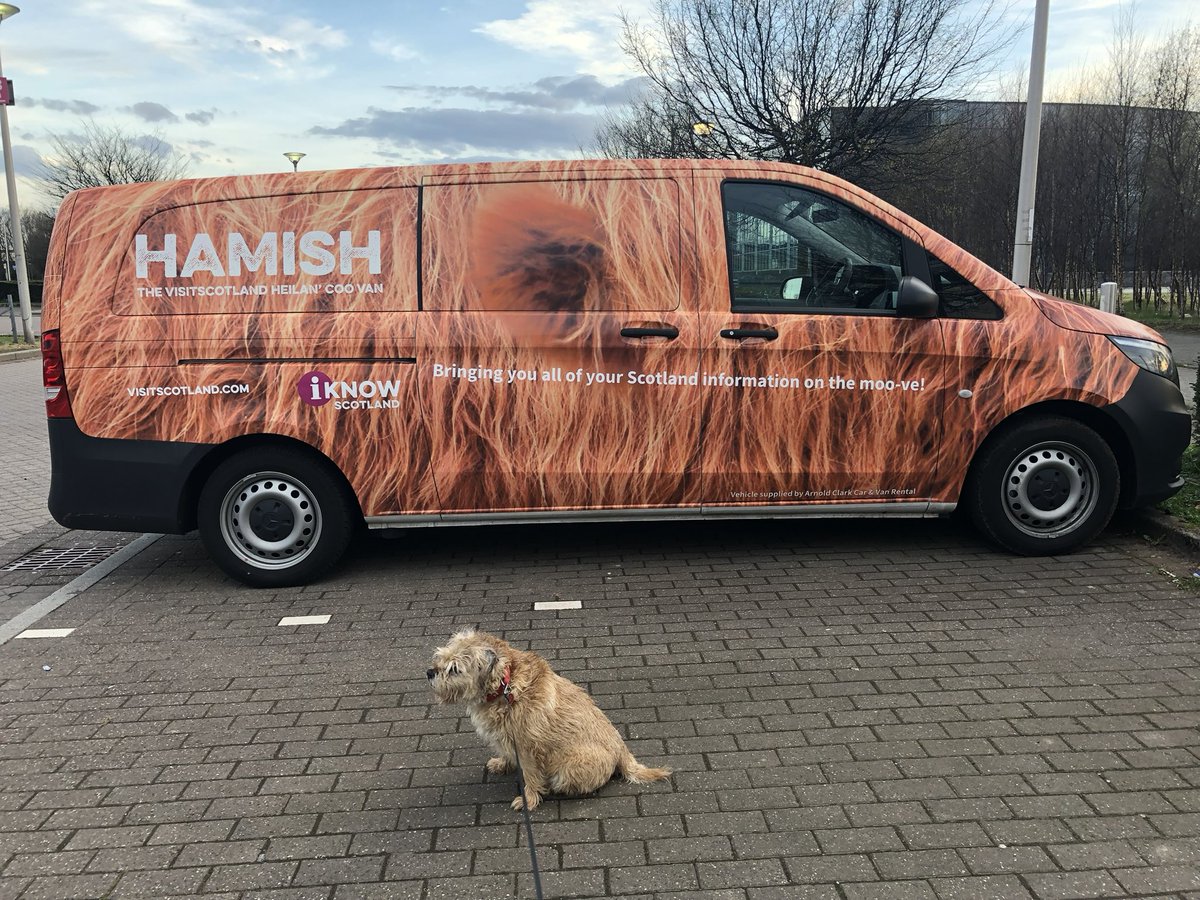 Hamish’s Lynne tweet media