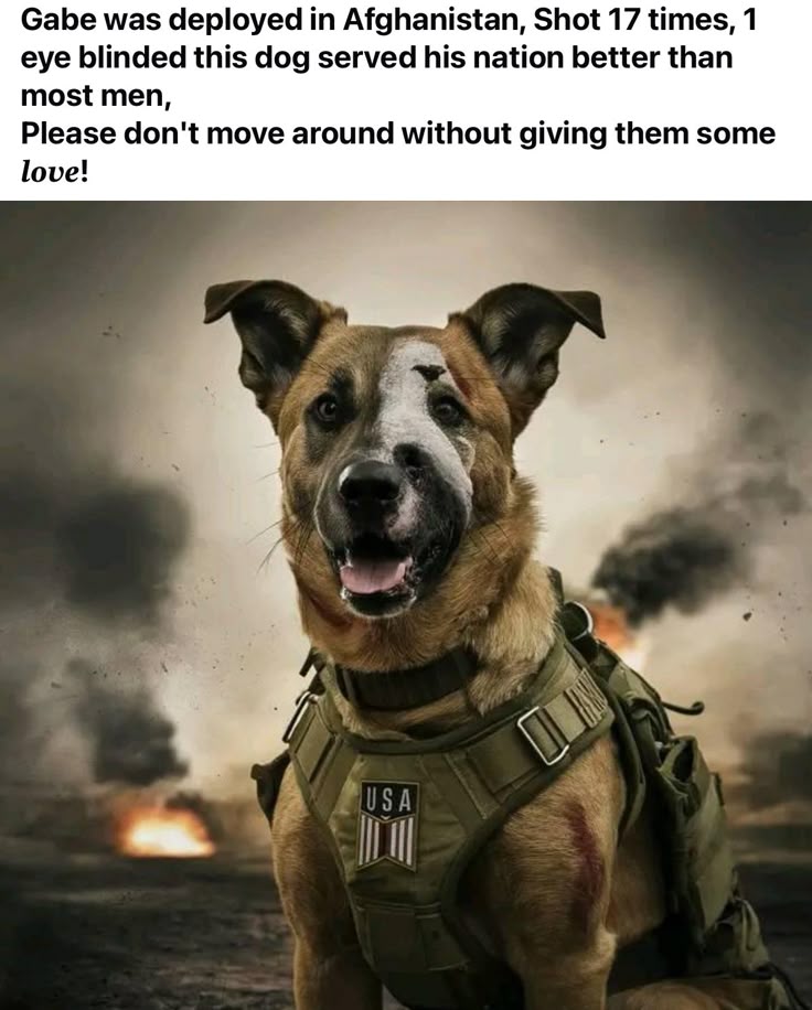 _XDogs's tweet photo. https://t.co/UooJukDykK