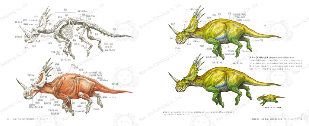 動物の骨格萌え🐎
『幻獣デザインのための動物解剖学:絶滅種・恐竜を含むあらゆる動物の骨格と筋肉』
クリーチャーをデザインするなら、実在の(実在した)動物を理解することから。スターウォーズのクリーチャーデザイナーによる動物愛に溢れた一冊🦖編K
https://t.co/mbG882xyCo 