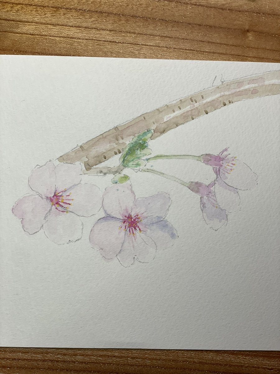 「影の色間違えた 」|ハンカチのイラスト