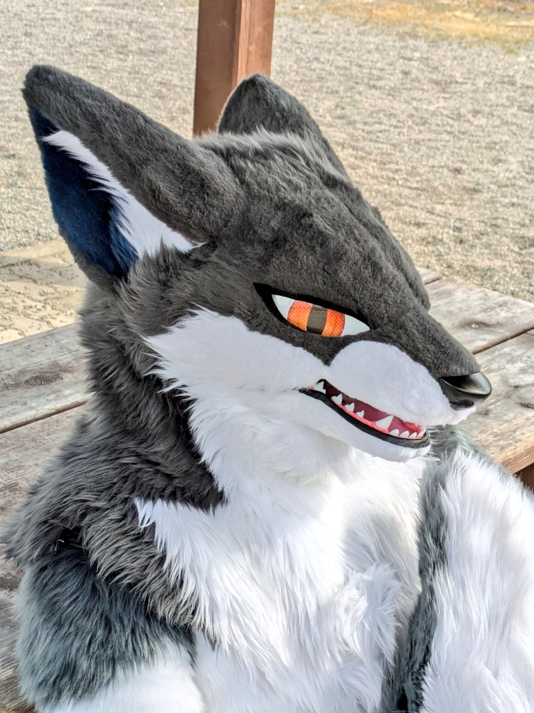 （尻尾よごれちゃうしな…）