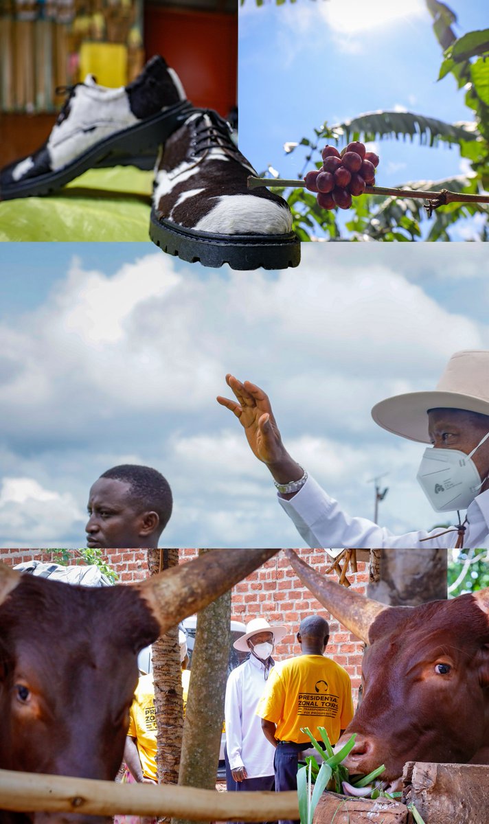 BonnyKarogo's tweet image. Some of the images I took in Greater Mubende during Sevo's PDM tour