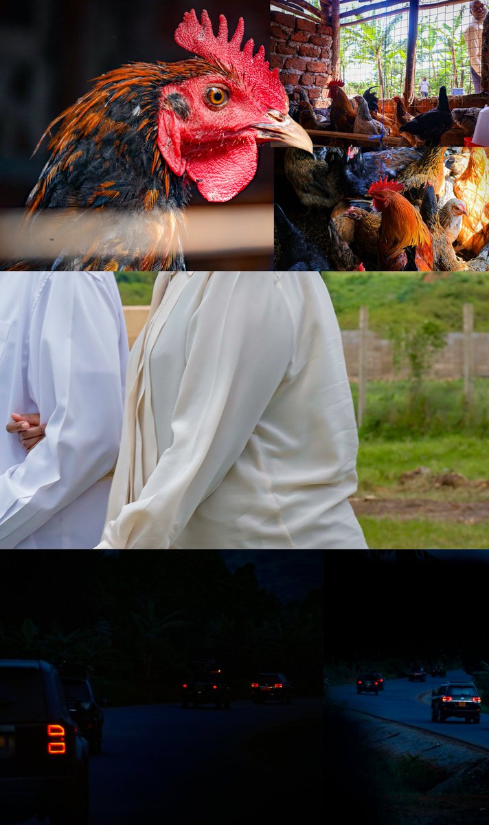 BonnyKarogo's tweet image. Some of the images I took in Greater Mubende during Sevo's PDM tour