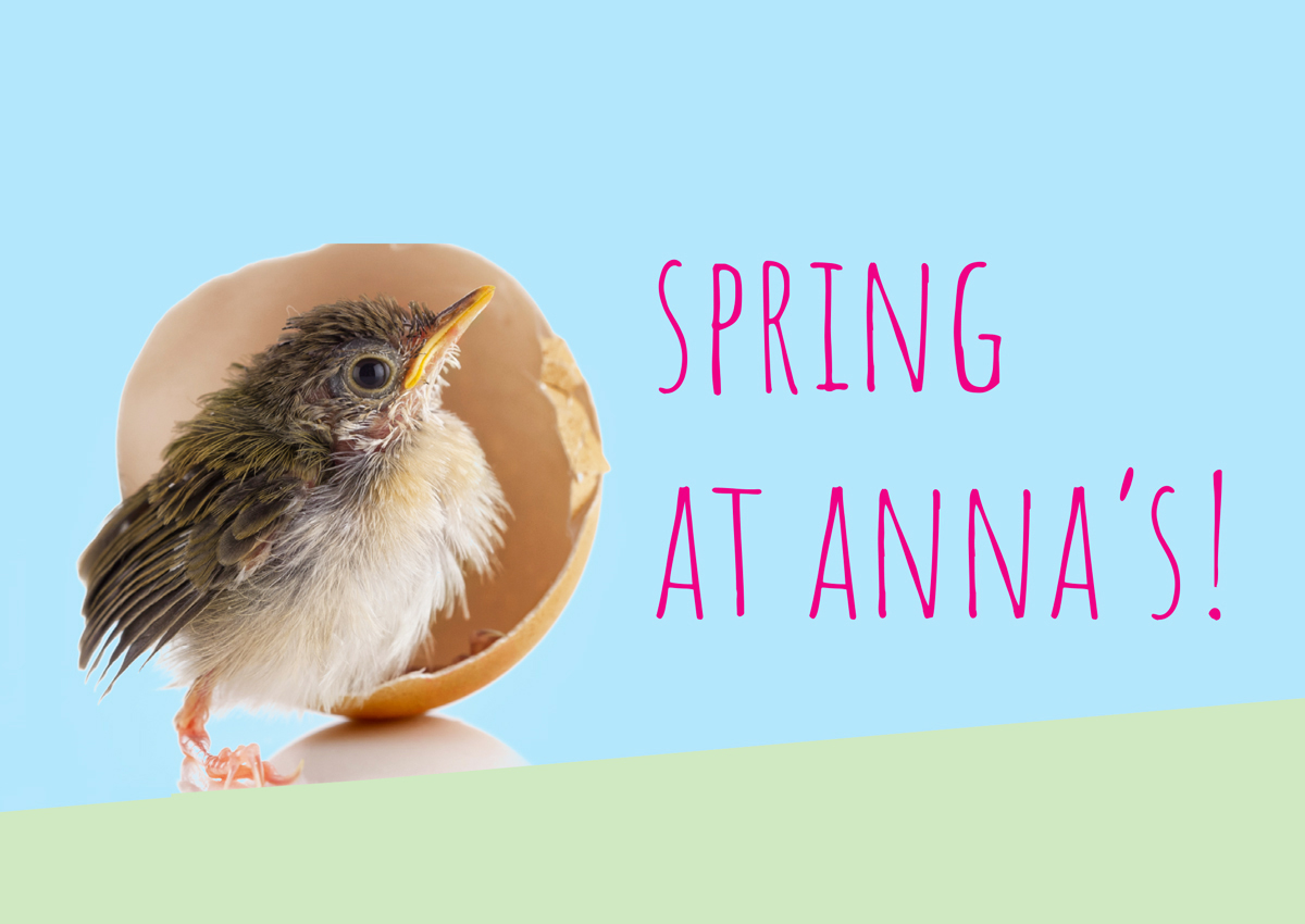 Anna's Tuin & Ruigte tweet media