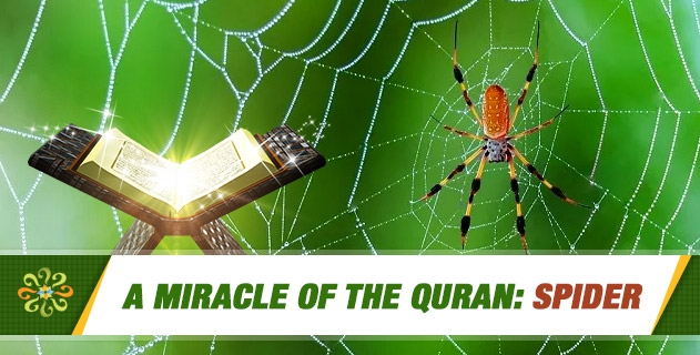 QuestionsIslam's tweet image. A Miracle of the Quran: Spider

🔗 Answer here: questionsonislam.com/article/miracl… #quran #miracle