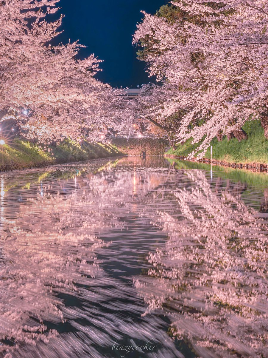 可惜夜の弘前公園