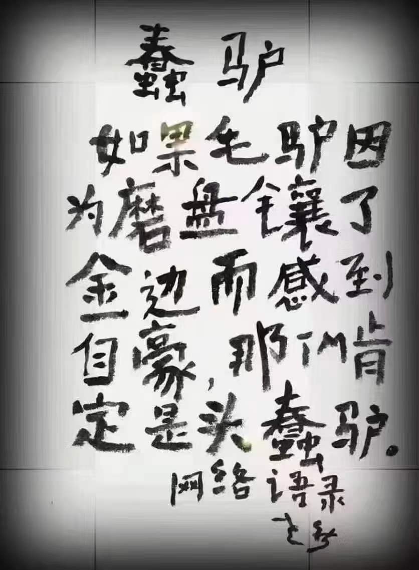 fang_danie121's tweet photo. 最可怕的是毛驴们居然还会为了用来抽打自己的皮鞭多么精致而骄傲 https://t.co/O793ZkJFqh