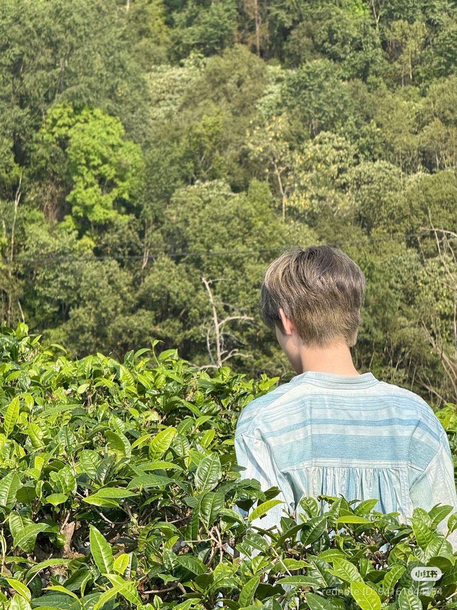 โลมาบอย🩵Lucid tweet media