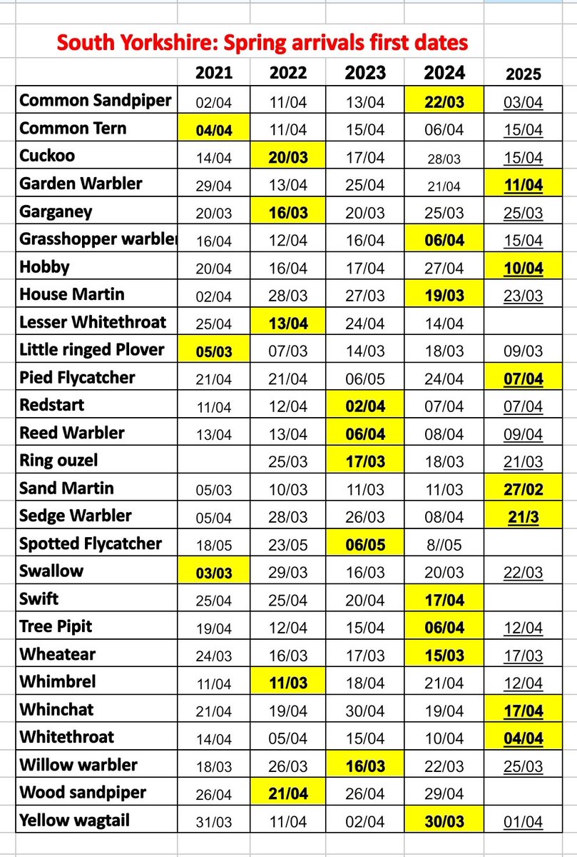 South Yorkshire birders tweet media