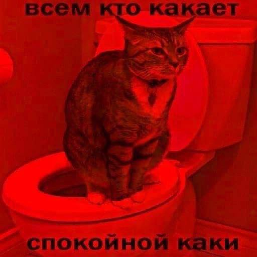 sugarbaget's tweet photo. https://t.co/5w7dSP2Mdj
