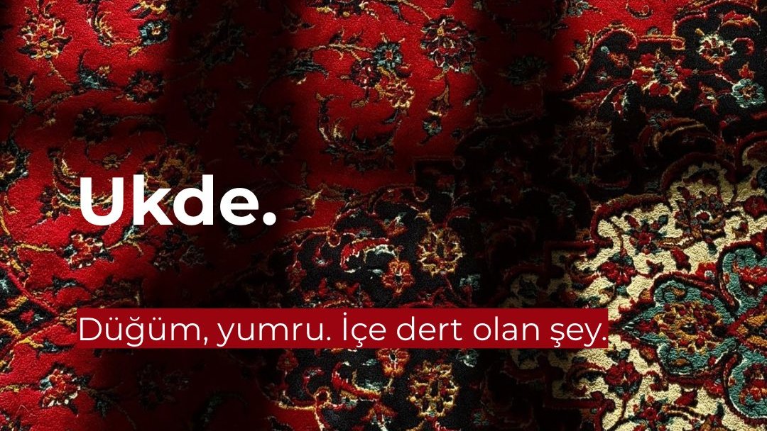Mustafa Enes Akbaba tweet media