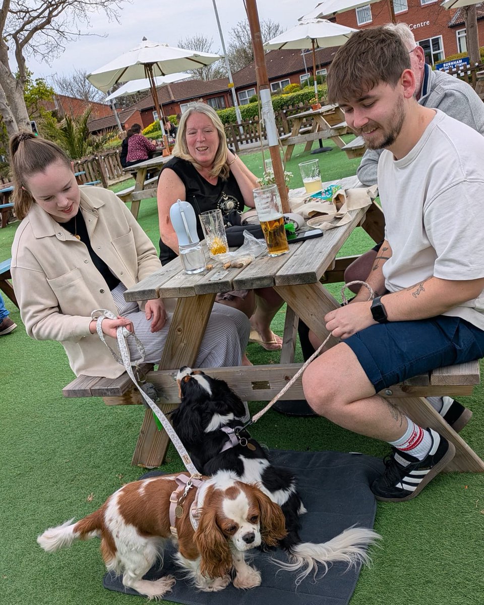 DUNSTANTEAM's tweet photo. We are a Dog friendly pub... Even if the sun has let us down we have you covered in our heated tent seating .. 

Why not join us over this long bank holiday  weekend ? https://t.co/VU6m4sPjp6