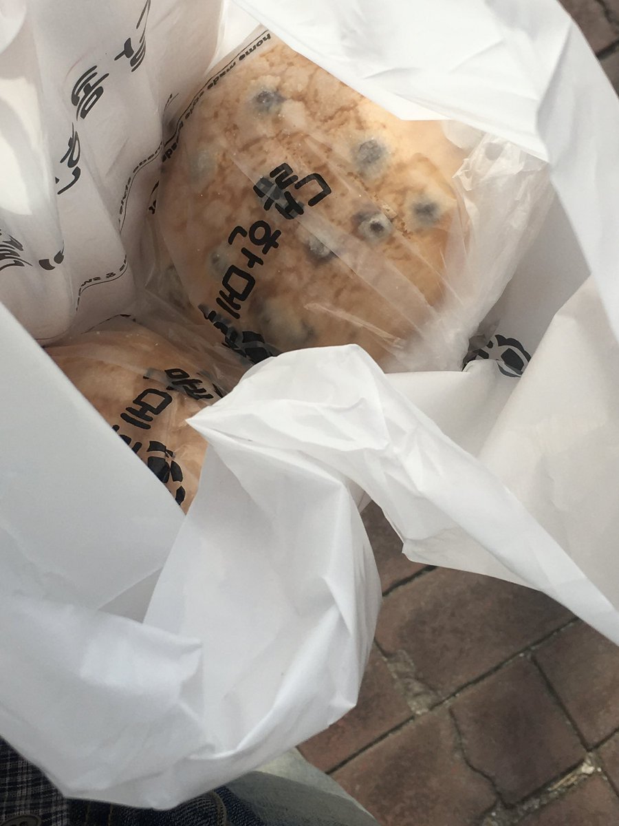 Bite0A's tweet photo. 언제와도 설레는 달콤한메론빵,,🍈🍞 https://t.co/oj2it4rTDT