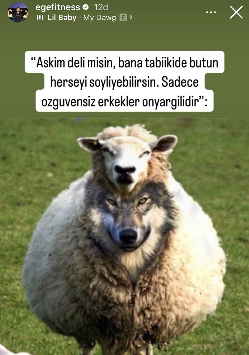 Hayırlı cumalar