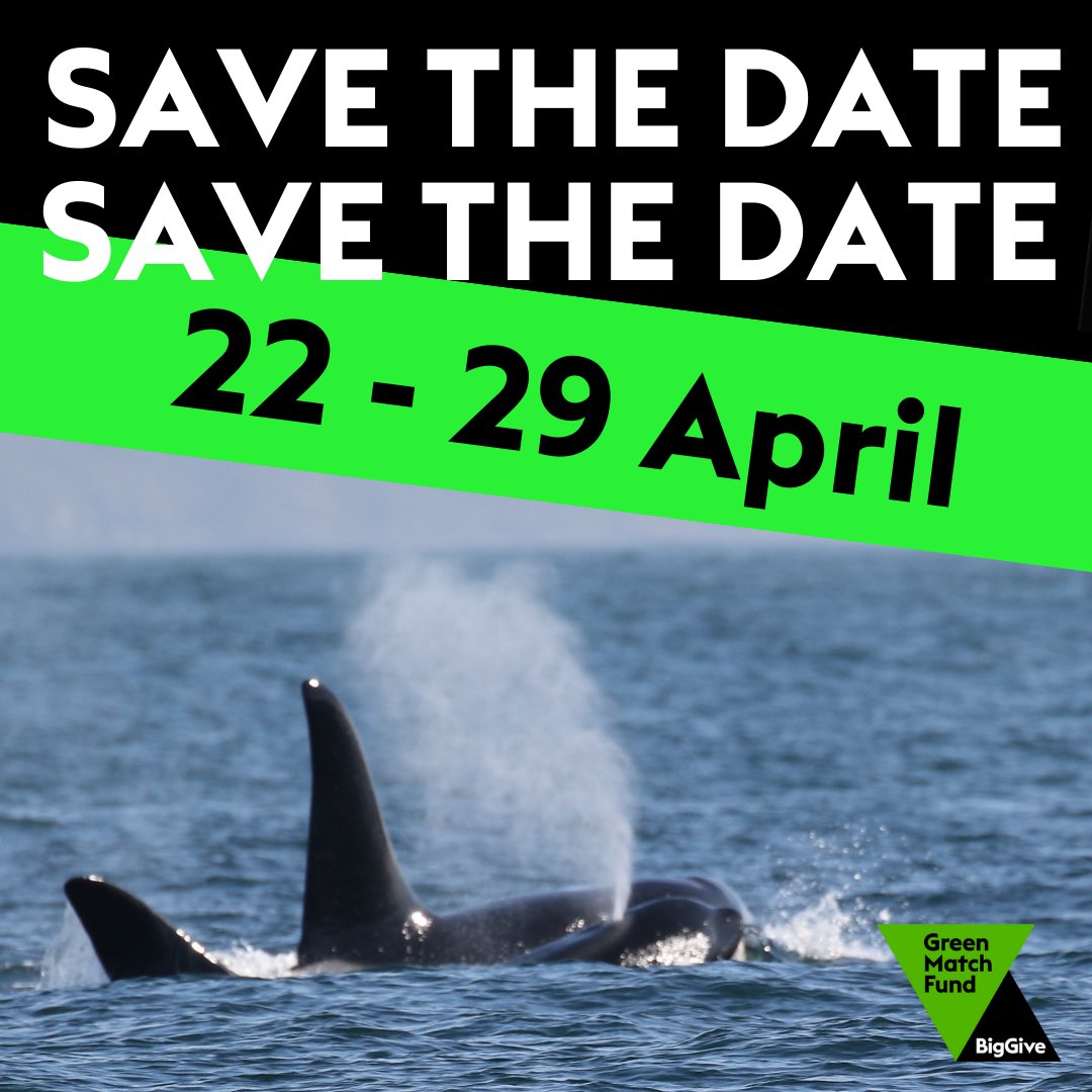 Scotland’s seas are globally important but under threat. Next week, your donation to protect marine life will be DOUBLED via @biggiveorg’s Green Match Fund! 💙 Let’s connect with the ocean—and inspire action to protect it. #GreenMatchFund #OceanConservation