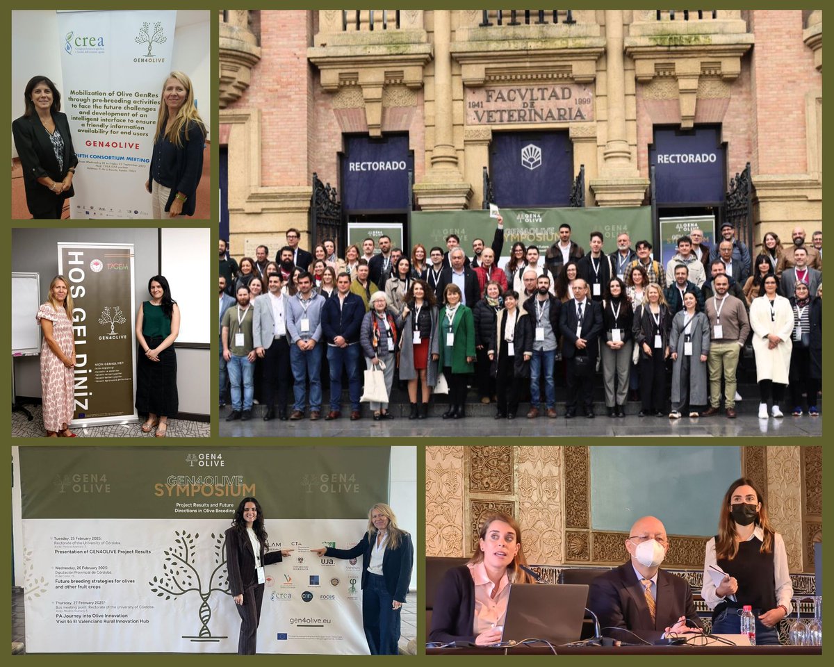 CTA | Technological Corporation of Andalusia tweet media