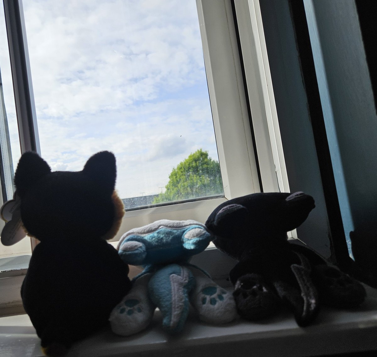Oreo Otter (@oreootter) on Twitter photo Let the London Easter adventure begin With <a href="/NachtKrallen/">NachtKrallen ๐บ๐ฌ๐ง๐ณ๏ธโ๐๐พ ๐๐</a> & <a href="/MerlintheFluffy/">Merlin/MrSheppy - Megaplex/MFF 2025</a> Let the London Easter adventure begin With <a href="/NachtKrallen/">NachtKrallen ๐บ๐ฌ๐ง๐ณ๏ธโ๐๐พ ๐๐</a> & <a href="/MerlintheFluffy/">Merlin/MrSheppy - Megaplex/MFF 2025</a>