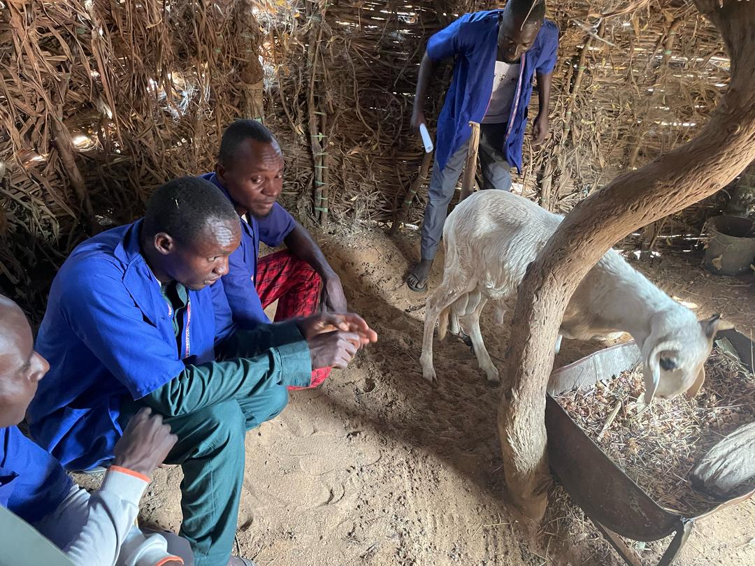 Incubateur CIPMEN (@cipmen) on Twitter photo #news
🔍 3 jours riches d’apprentissage à #Karguibangou dans le cadre du projet #REEL_MAHITA d’ <a href="/EnabelauNiger/">Enabel au Niger</a> !
Les bénéficiaires ont enchaîné les masterclass avant de partir en visite terrain pour une immersion concrète dans l’entrepreneuriat local. 💼🌱
#Preincubation #news
🔍 3 jours riches d’apprentissage à #Karguibangou dans le cadre du projet #REEL_MAHITA d’ <a href="/EnabelauNiger/">Enabel au Niger</a> !
Les bénéficiaires ont enchaîné les masterclass avant de partir en visite terrain pour une immersion concrète dans l’entrepreneuriat local. 💼🌱
#Preincubation