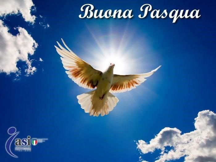 ASI Roma tweet media
