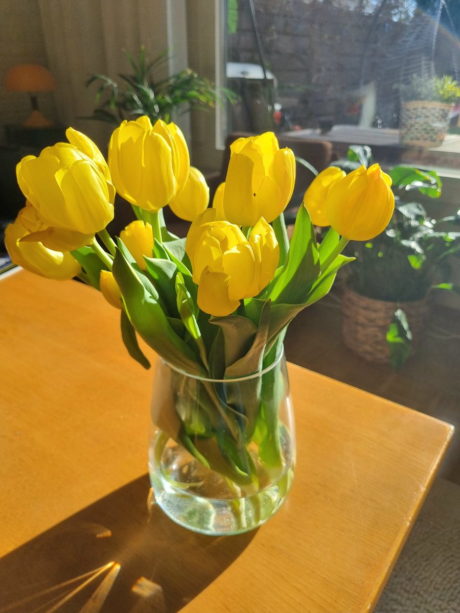 Hyvää pääsiäisen aikaa🌷