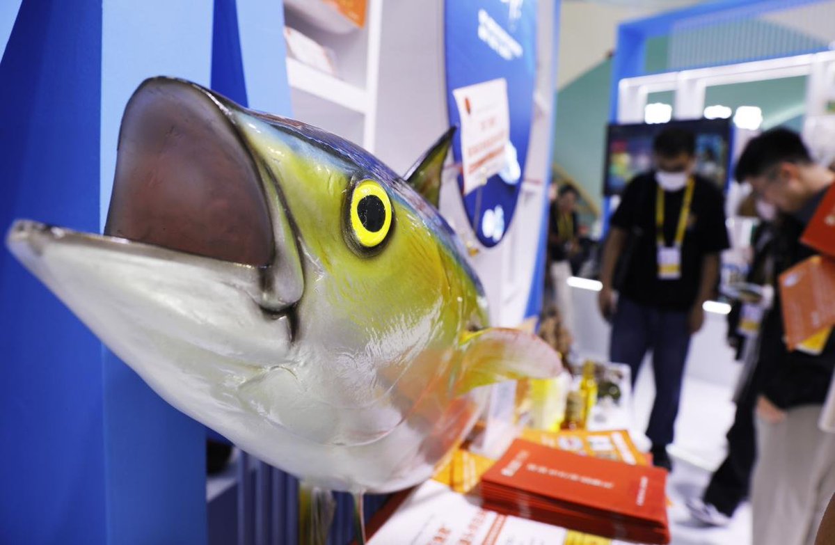 HainanToday's tweet image. During this year’s #CICPE, the #Hainan #Pavilion has been packed with visitors, particularly at the Sansha deep-sea seafood exhibition zone, which drew crowds of buyers and consumers for inquiries and negotiations. Leveraging the expo, local Hainan brands are accelerating their