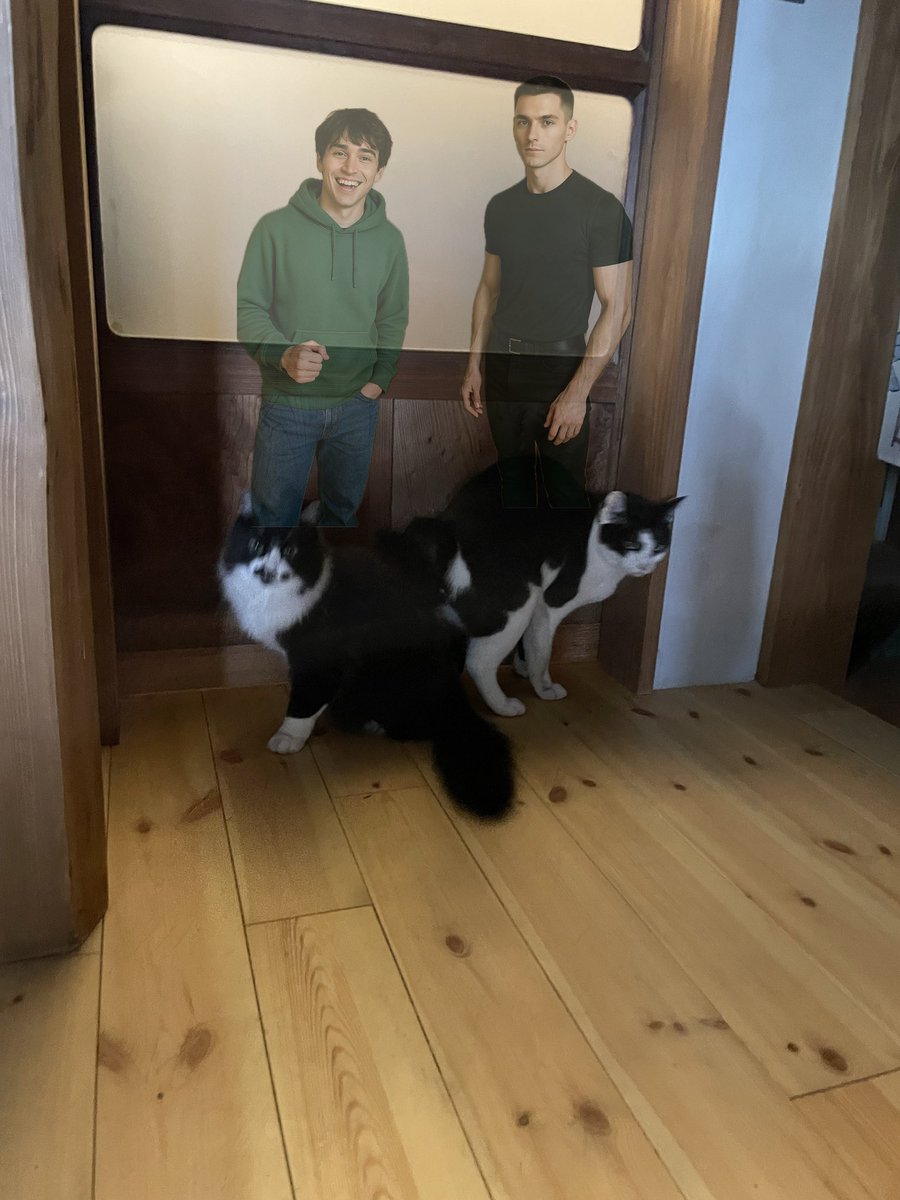 らいおん丸 (@lionmaru_046) / Posts / X