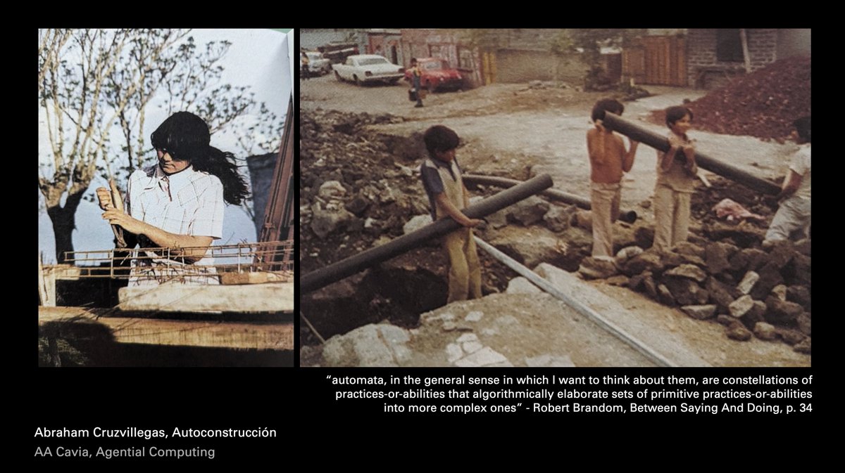 AA Cavia tweet media