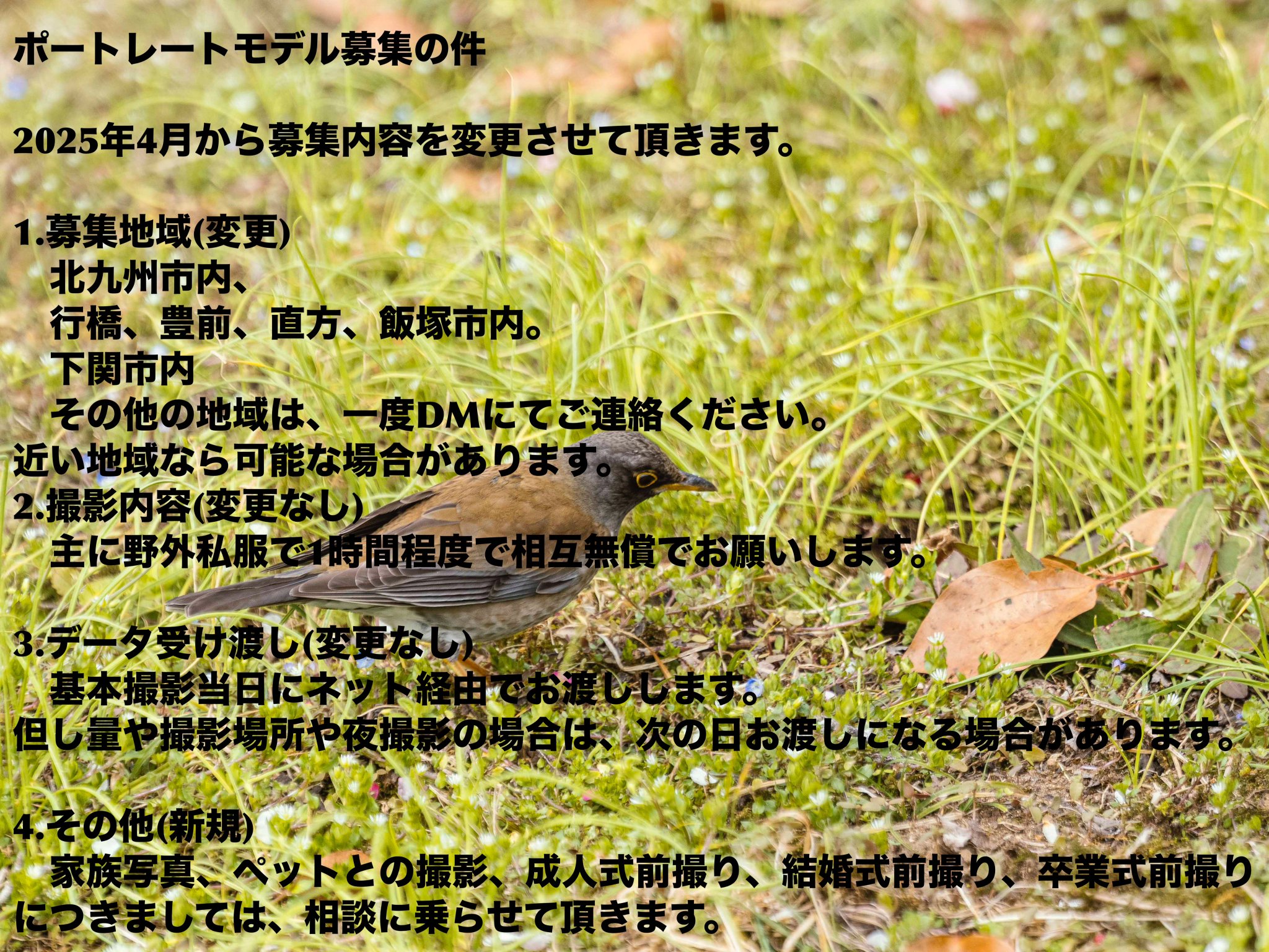 Posts with replies by ラッキー@被写体様募集中 (@luckylovepro