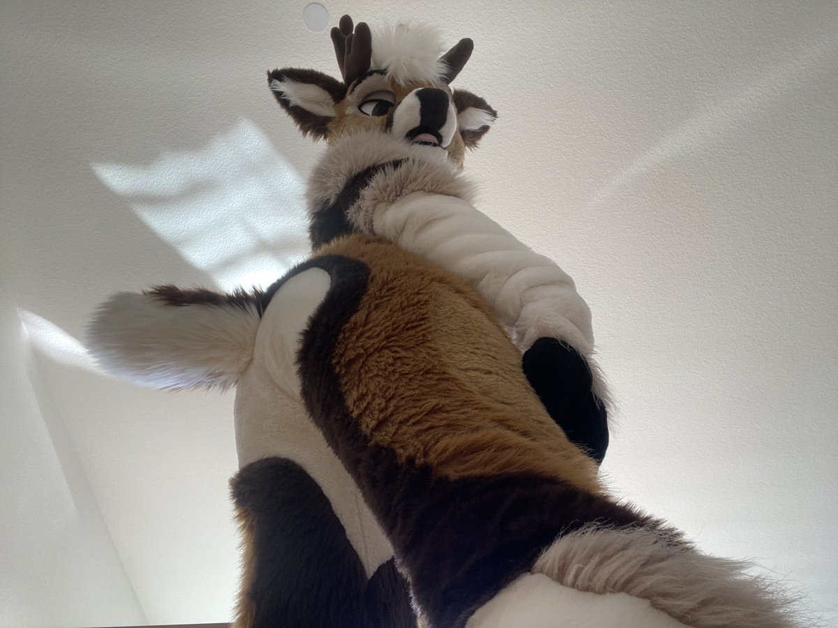 MAKE ME Grow high
Grow high
Grow high
#FursuitFriday