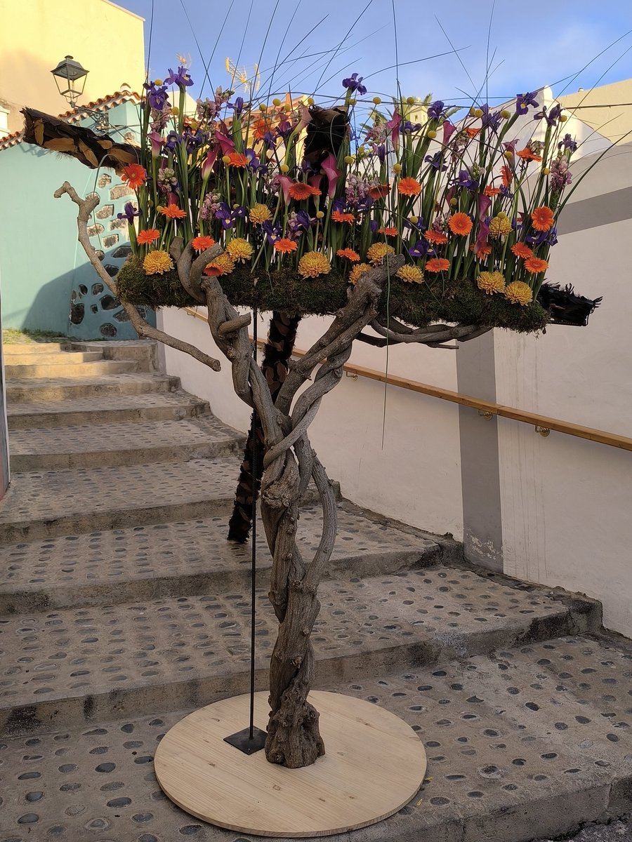 leodesinquieto's tweet photo. Pascua Florida, una cita artística imprescindible de cada año en Guía de Isora. #tenerife #islascanarias
.
.
@visitguia_isora @guiade_isora @VisitTenerifeES @TurismCanarias #pascuaflorida #guiadeisora #leodesinquieto #loquepidaelcuerpo 😎 https://t.co/zpof0MVdhM