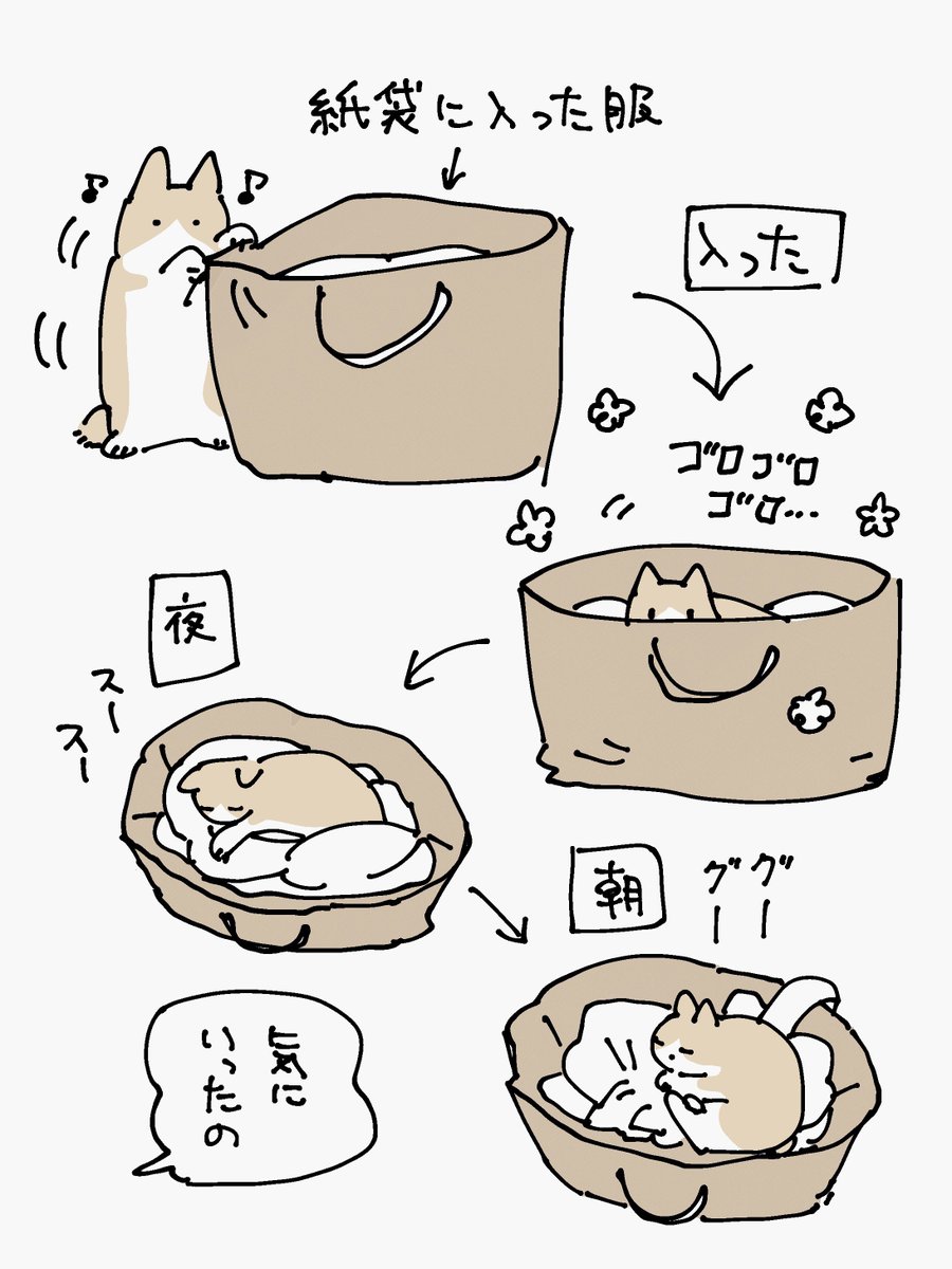 🌱おしらせ🌱 黒猫ろんと暮らしたら7巻の発売が6/11に決定しま