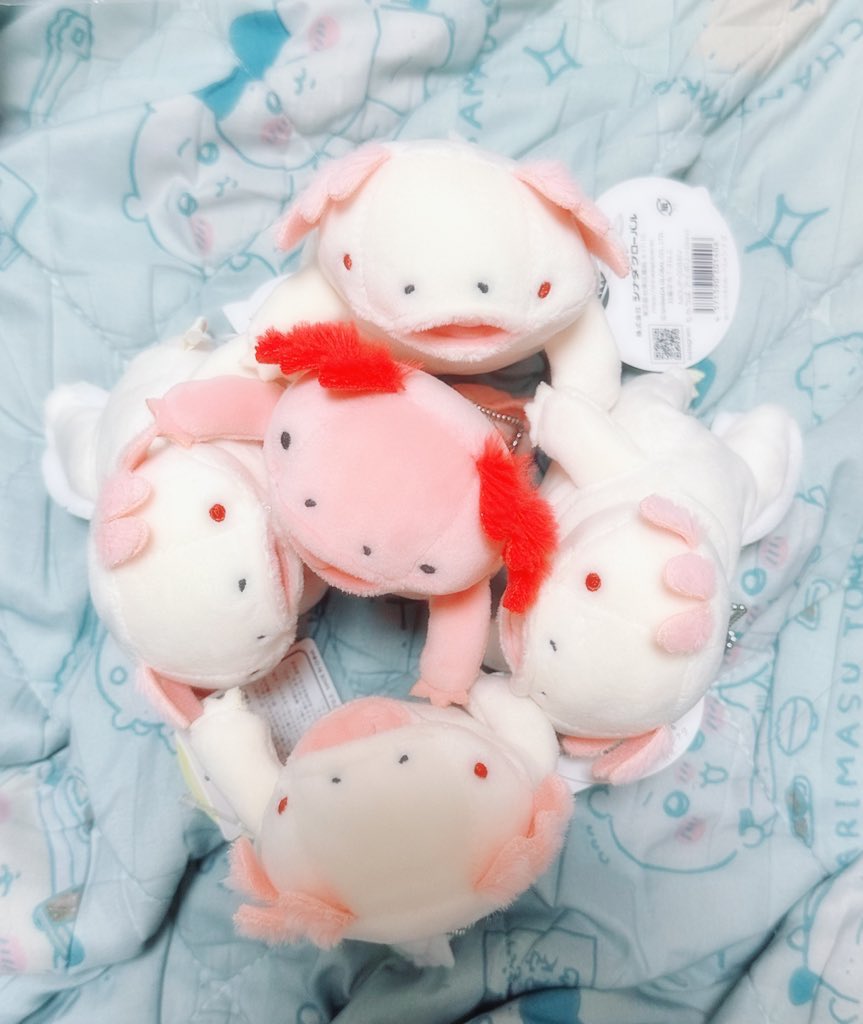 おやびんが発売される！！