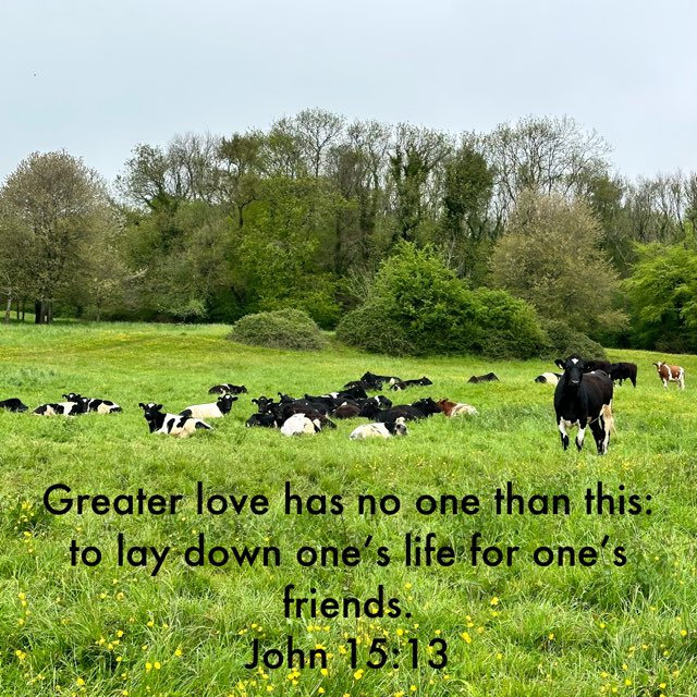 Good Friday - good news