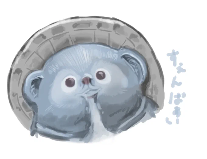 初わたぬきFA #わたかき 