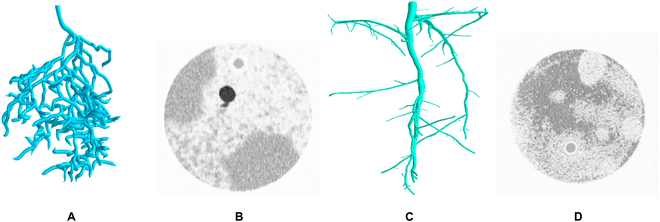 PPhenomics's tweet photo. We tested a 2-step workflow for automated root system reconstruction from MRI images. U-Net segmentation improved manual reconstruction speed by 97% and root length by 20%. #RootImaging #MRI #Automation Details: https://t.co/mLPD0gq37L https://t.co/JH5Nwf2OkK