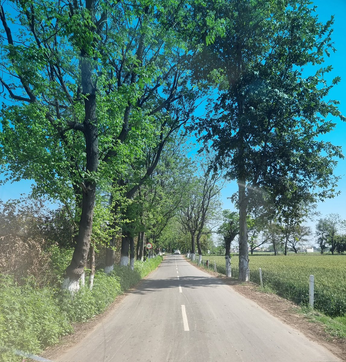 ਦੀਪ ਸੰਧੂ Deep K Sandhu tweet media