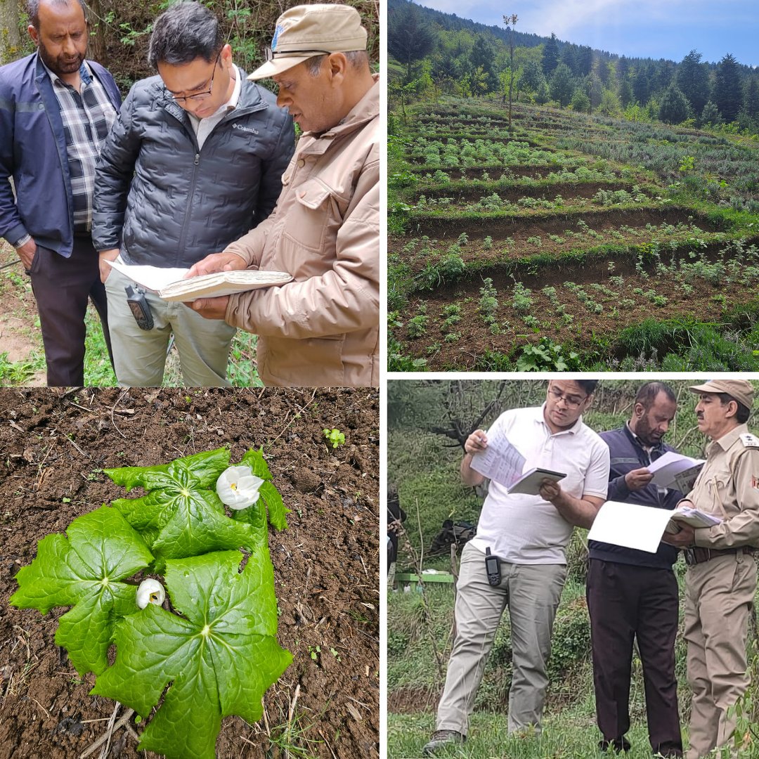 DFO Planning and Publicity tweet media