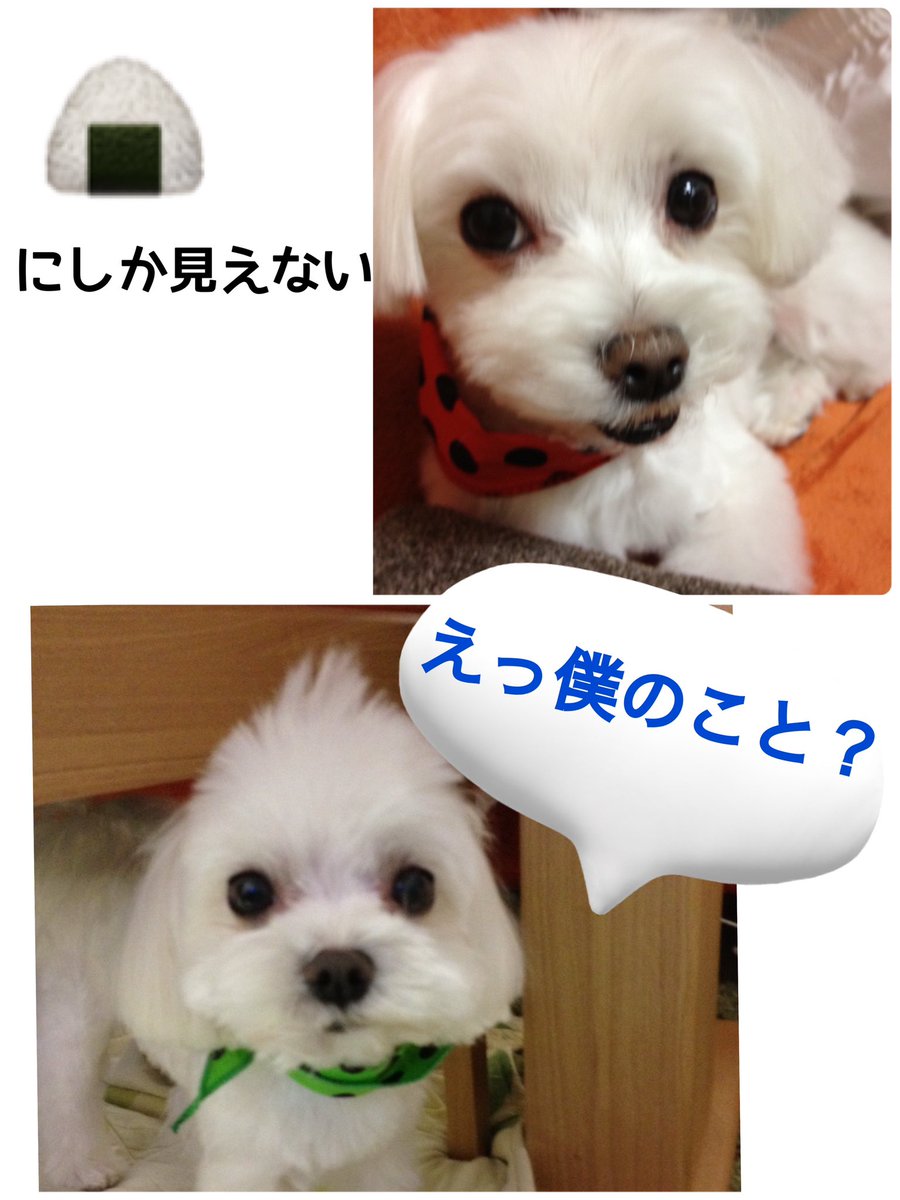 ふくゆ tweet media