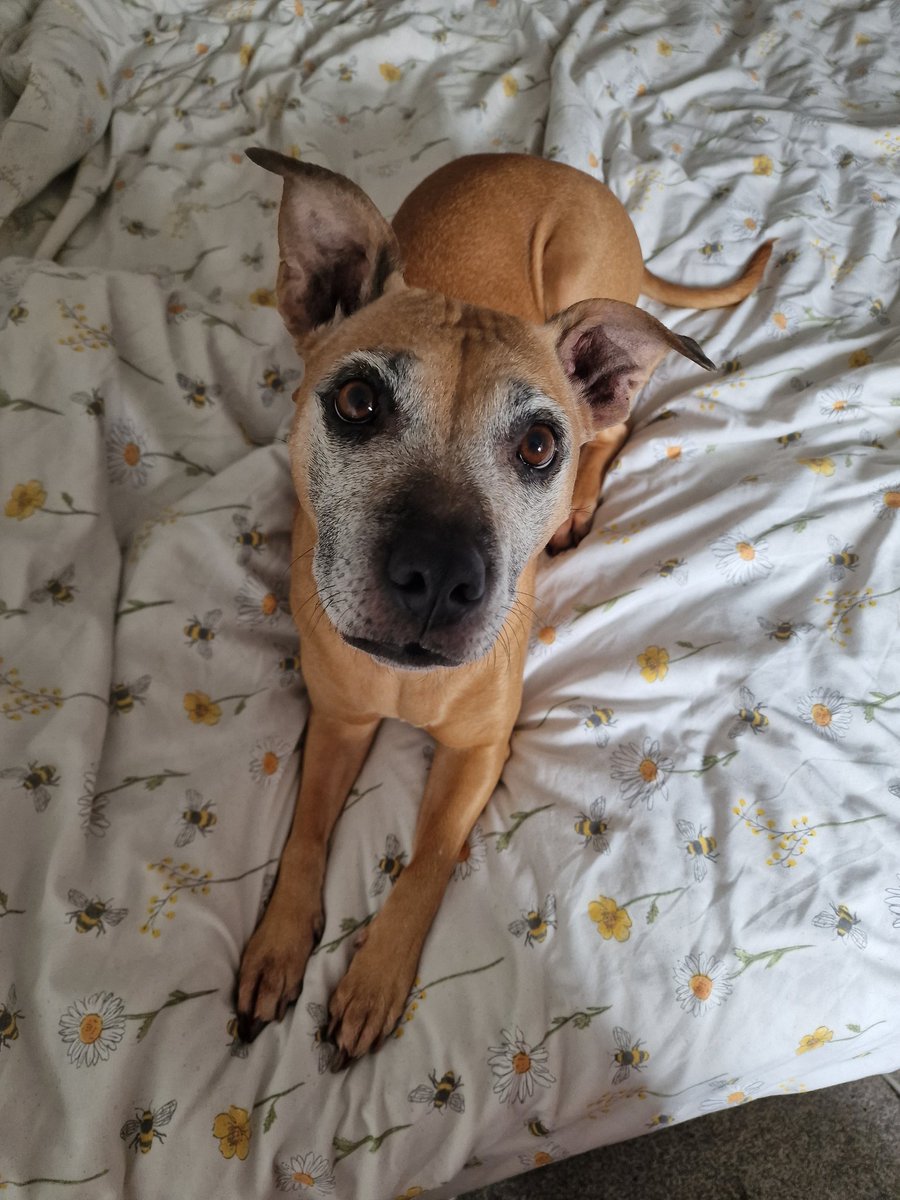 RiRiScotty tweet media