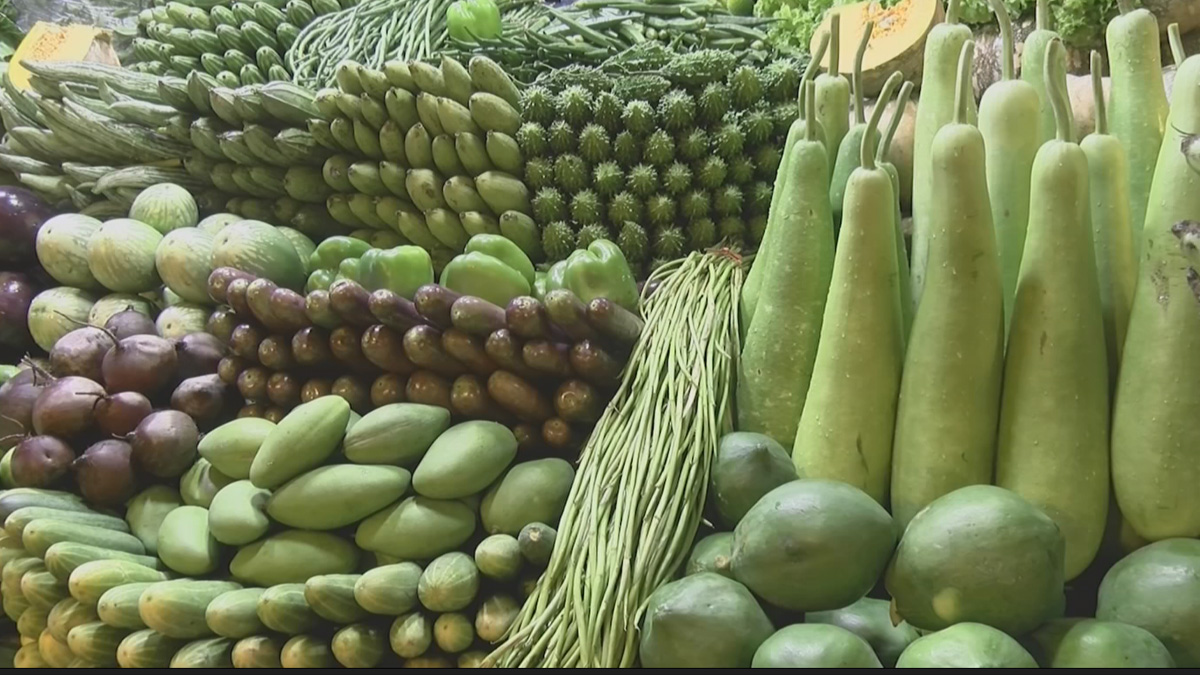 ঢাকায় সবজির দাম বাড়তে থাকলেও বাইরের চিত্র ভিন্ন, ন্যায্যমূল্য না পাওয়ায় হতাশ কৃষকরা