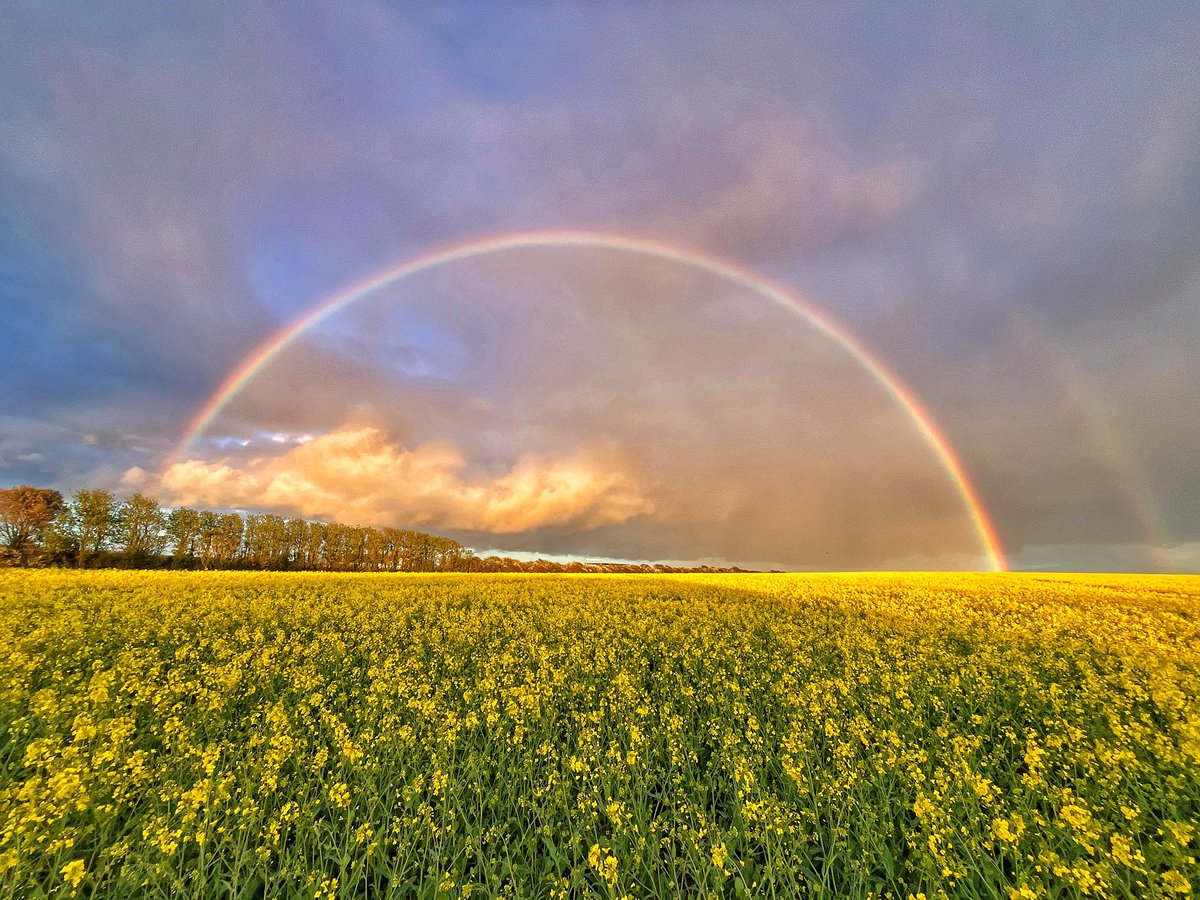 Stunning colours at Pembrokeshire. Courtesy 
<a href="/W4LES/">Pembrokeshire Coast & Wildlife</a> #Wales #WelshPassion