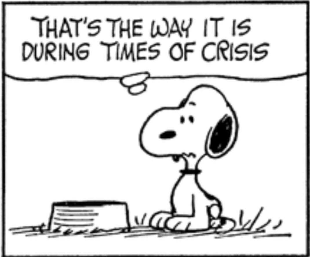 ferdiewerdie's tweet photo. Charle Brown is "lost" ever since the little red-haired moved away. https://t.co/PVTHWxSdMY
