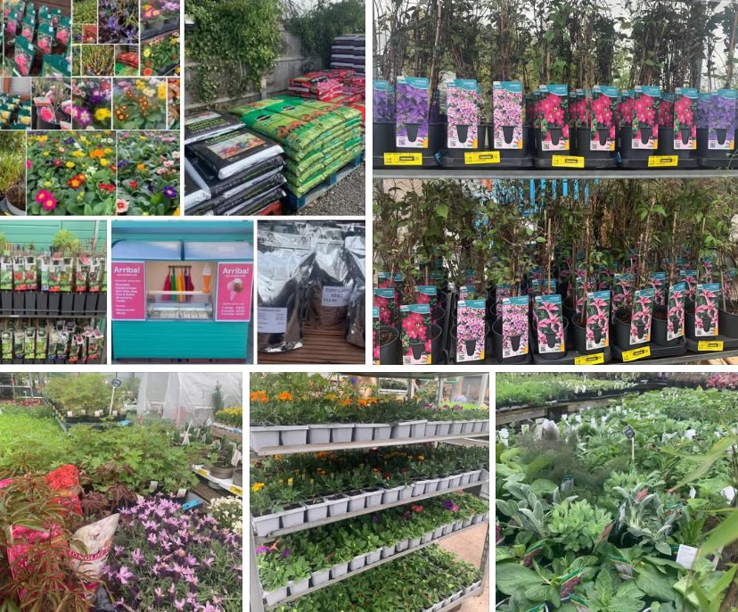 MickletonGlos's tweet photo. Another great day for gardening!🌞
Today, TOPS are open 9 til 4.30. We have lovely plants to give instant colour. Well stocked with composts, seeds and tools. All your gardening needs at TOPS Plants, Broadway Road, Mickleton, GL55 6PT. Plenty of space, fresh air and free parking! https://t.co/YFdGDHSlcN